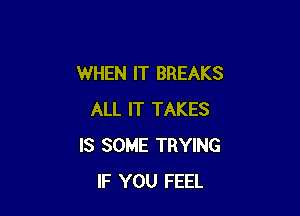 WHEN IT BREAKS

ALL IT TAKES
IS SOME TRYING
IF YOU FEEL