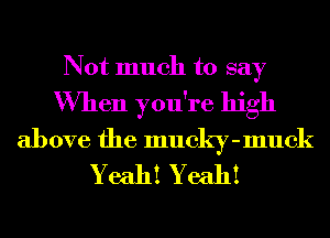 Not much to say
When you're high
above the mucky-muck
Yeah! Yeah!
