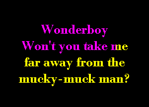 Wonderboy
Won't you take me

far away from the
mucky-muck man?