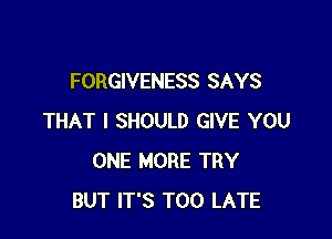 FORGIVENESS SAYS

THAT I SHOULD GIVE YOU
ONE MORE TRY
BUT IT'S TOO LATE