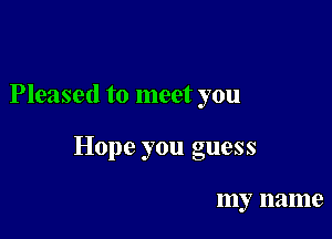 Pleased to meet you

Hope you guess

Illy name