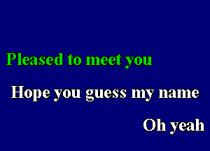 Pleased to meet you

Hope you guess my name

011 yeah