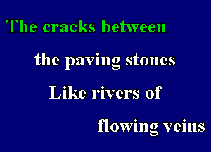 The cracks between

the paving stones

Like rivers of

flowing veins