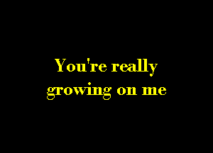 You're really

growing on me