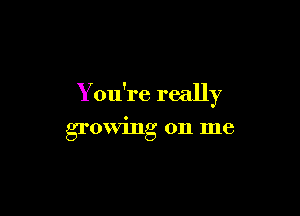 You're really

growing on me