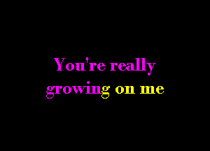 You're really

growing on me