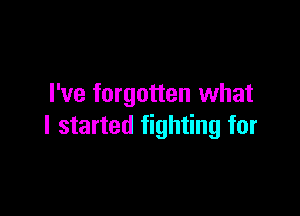 I've forgotten what

I started fighting for