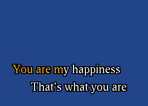 You are my happiness

That's what you are