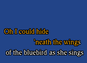 Oh I could hide
'neath the wings

of the bluebird as she sings