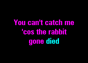 You can't catch me

'cos the rabbit
gone died