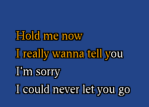 Hold me now

I really wanna tell you

I'm sorry
I could never let you go