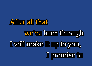 After all that
we've been through

I will make it up to you,

I promise to