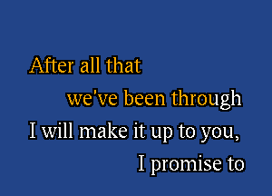 After all that
we've been through

I will make it up to you,

I promise to