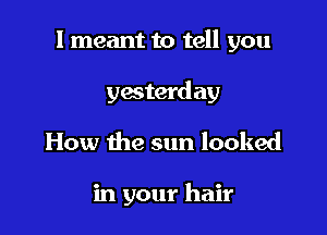 I meant to tell you

yesterday
How the sun looked

in your hair