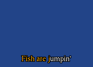 Fish are jumpin'