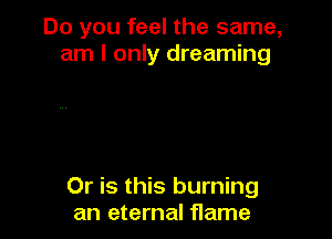 Do you feel the same,
am I only dreaming

Or is this burning
an eternal flame