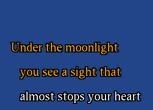 Under the moonlight

you see a sight that

almost stops your heart