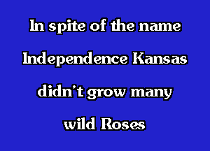 In spite of the name
Independence Kansas
didn't grow many

wild Roses
