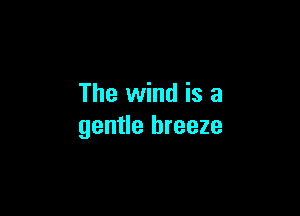 The wind is a

gentle breeze
