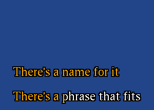 There's a name for it

There's a phrase that fits