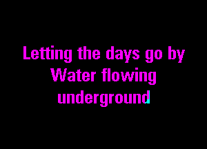 Letting the days go by

Water flowing
underground