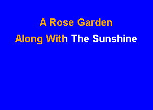 A Rose Garden
Along With The Sunshine