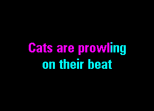 Cats are prowling

on their beat