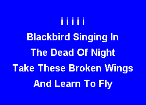 Blackbird Singing In
The Dead 0f Night

Take These Broken Wings
And Learn To Fly