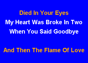 Died In Your Eyes
My Heart Was Broke In Two
When You Said Goodbye

And Then The Flame Of Love