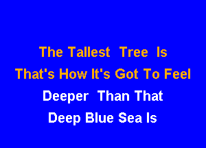 The Tallest Tree ls
That's How It's Got To Feel

Deeper Than That
Deep Blue Sea ls