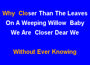Why Closer Than The Leaves
On A Weeping Willow Baby
We Are Closer Dear We

Without Ever Knowing