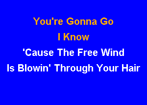 You're Gonna Go
I Know
'Cause The Free Wind

Is Blowin' Through Your Hair