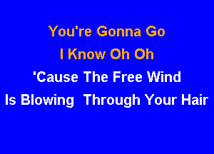You're Gonna Go
I Know Oh Oh
'Cause The Free Wind

Is Blowing Through Your Hair