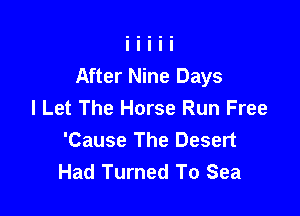 After Nine Days
I Let The Horse Run Free

'Cause The Desert
Had Turned To Sea