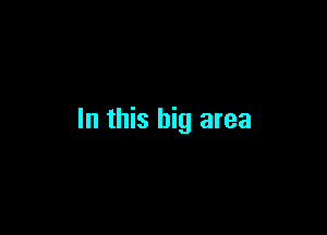 In this big area
