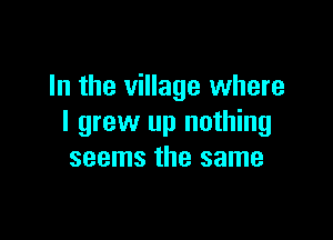 In the village where

I grew up nothing
seems the same