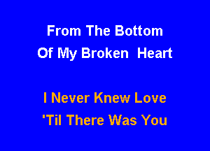 From The Bottom
Of My Broken Heart

I Never Knew Love
'Til There Was You