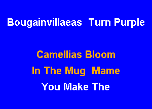 Bougainvillaeas Turn Purple

Camellias Bloom
In The Mug Mame
You Make The