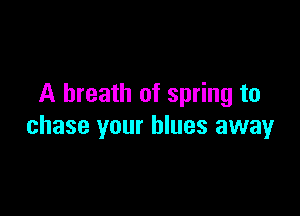 A breath of spring to

chase your blues away