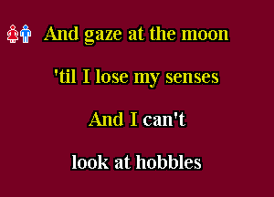 93?? And gaze at the moon

'til I lose my senses
And I can't

look at hobbles