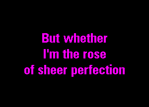 But whether

I'm the rose
of sheer perfection