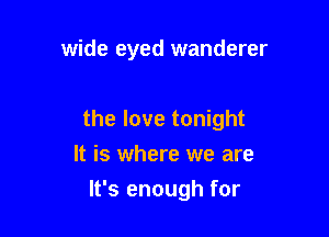 wide eyed wanderer

the love tonight

It is where we are
It's enough for