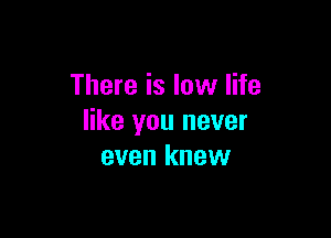 There is low life

like you never
even knew