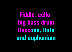 Fiddle, cello.
big bass drum

Bassoon, flute
and euphonium