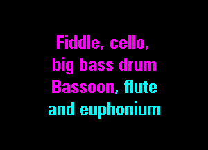 Fiddle, cello.
big bass drum

Bassoon, flute
and euphonium