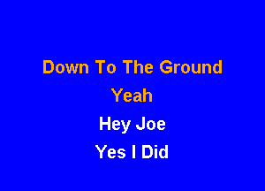 Down To The Ground
Yeah

Hey Joe
Yes I Did