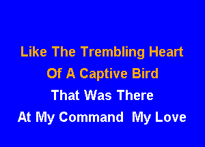 Like The Trembling Heart
Of A Captive Bird

That Was There
At My Command My Love