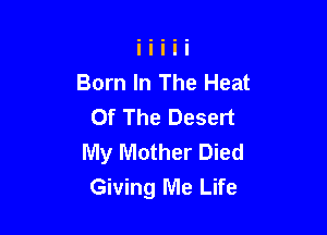 Born In The Heat
Of The Desert

My Mother Died
Giving Me Life