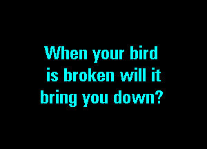 When your bird

is broken will it
bring you down?
