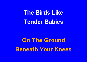 The Birds Like
Tender Babies

On The Ground
Beneath Your Knees